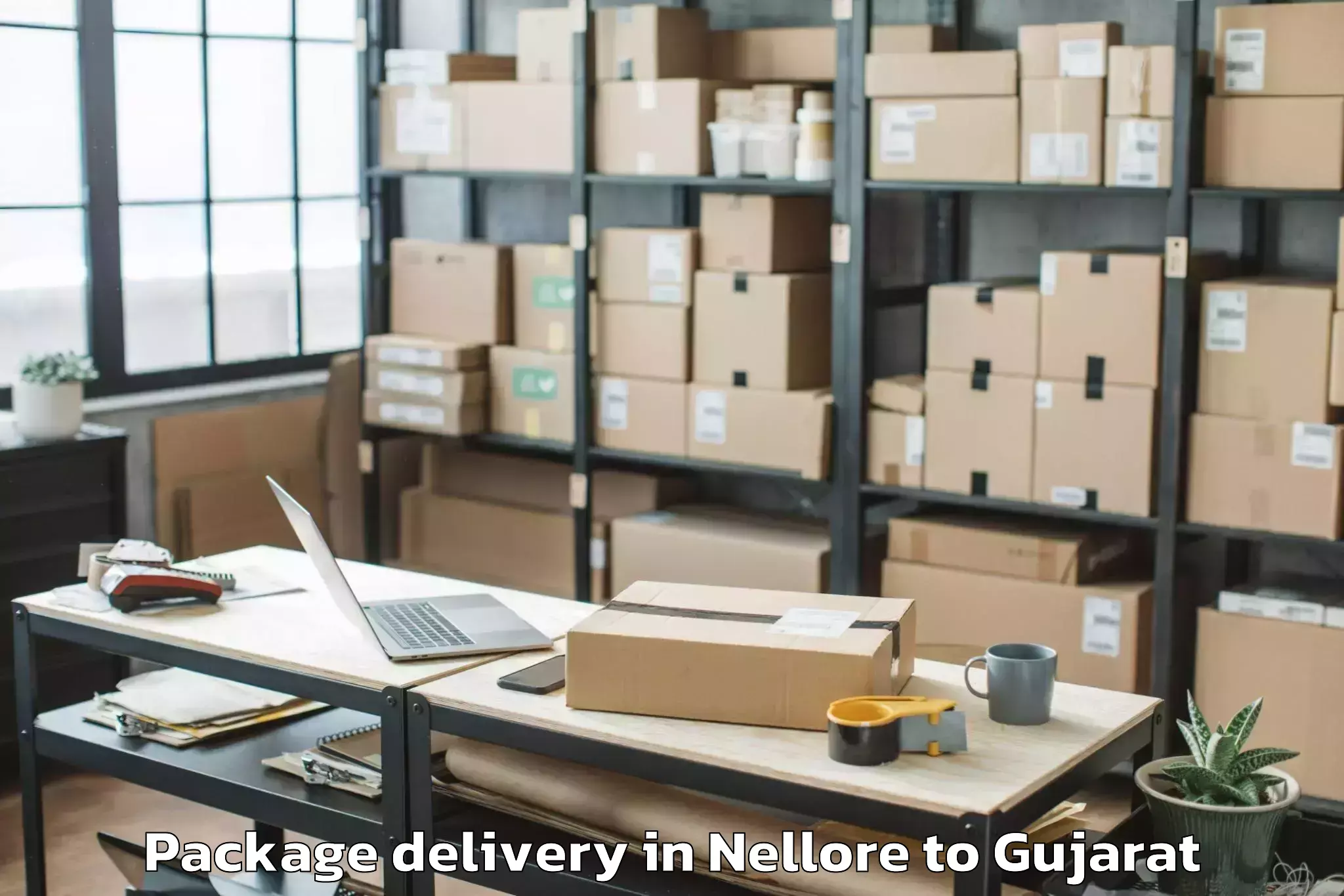 Nellore to Kadi Sarva Vishwavidyalaya Gan Package Delivery